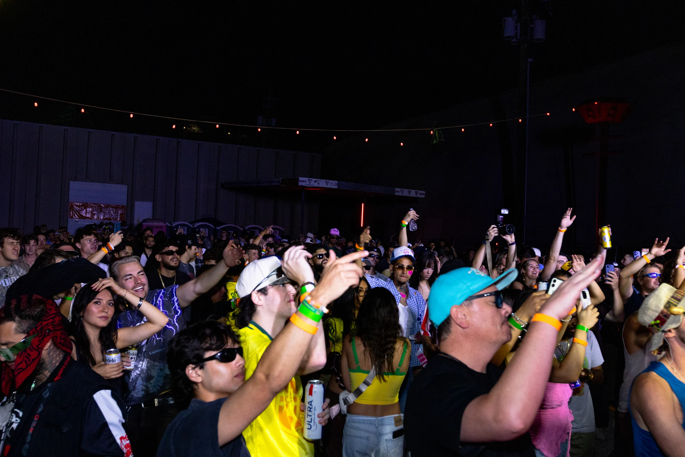 Hands in the air in the crowd at a BRICKS live event