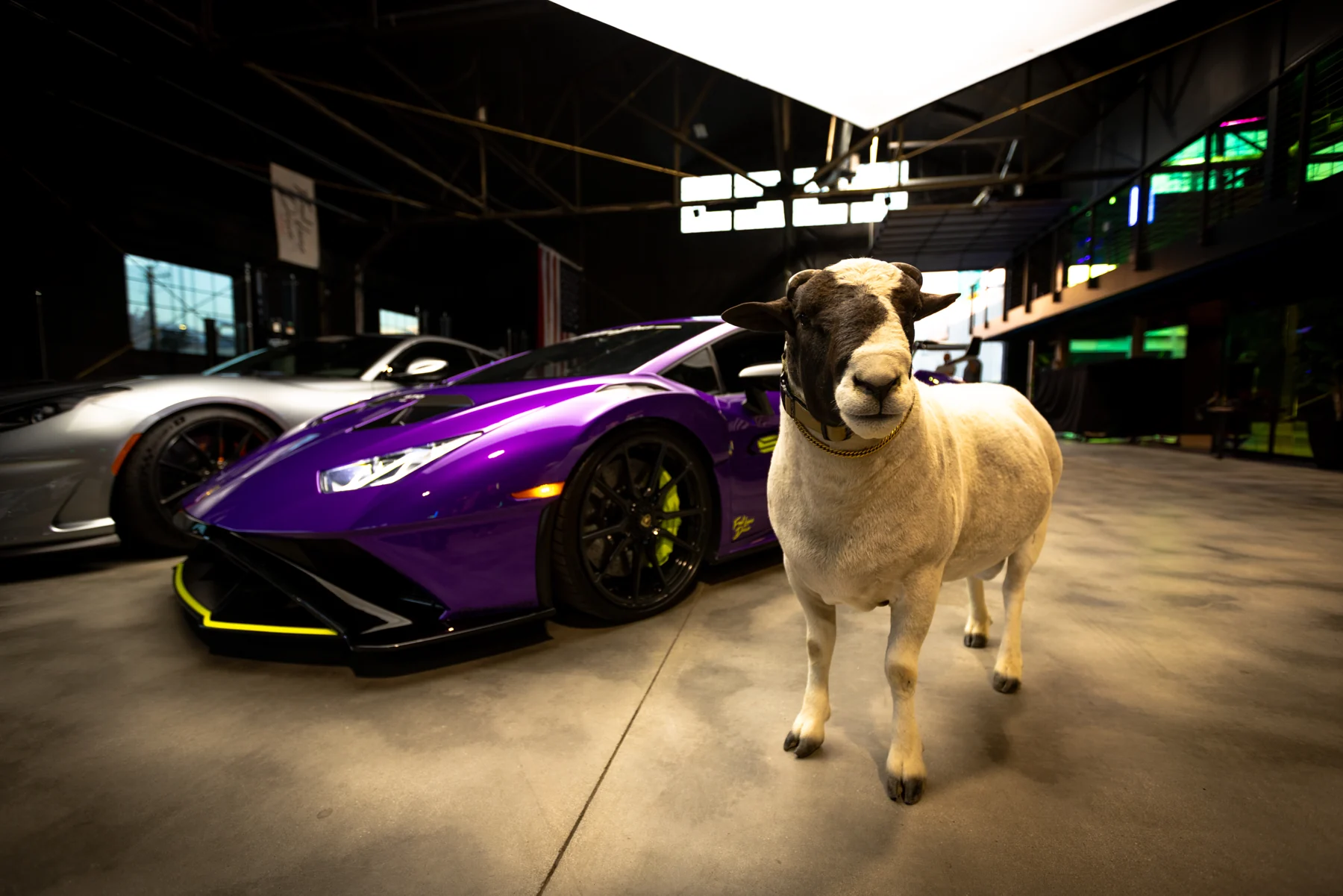 A Lamborghini and life in the BRICKS warehouse